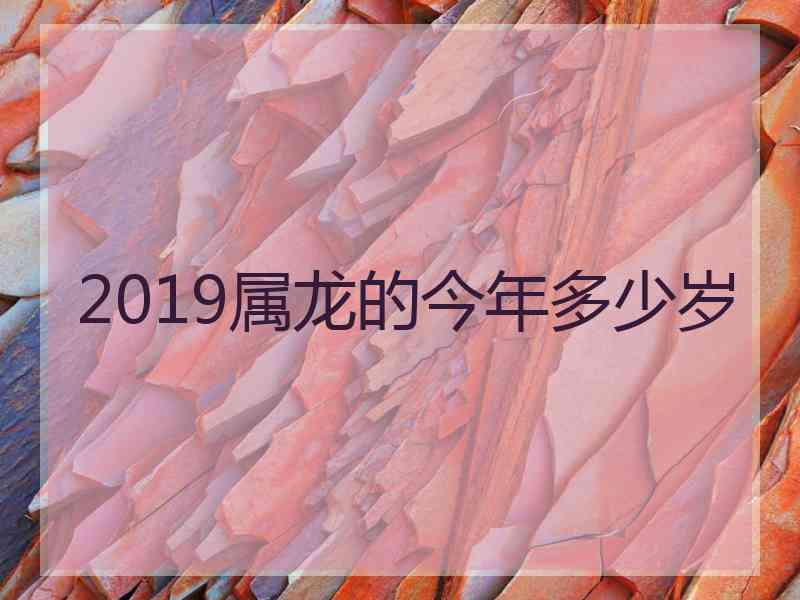 2019属龙的今年多少岁