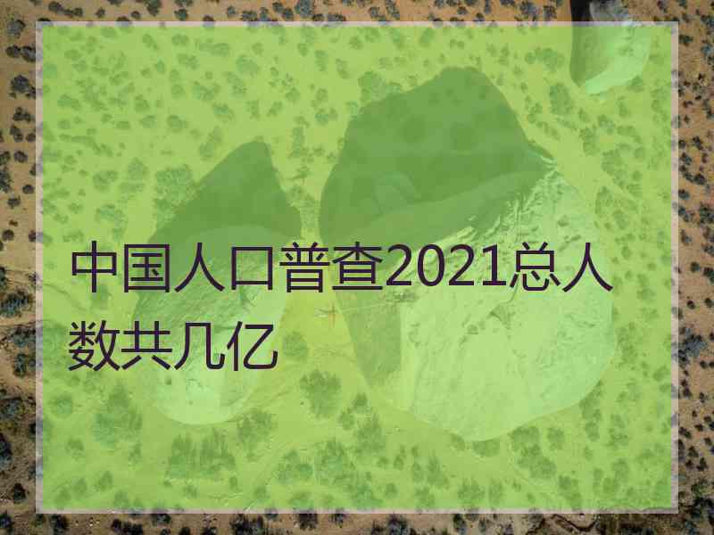 中国人口普查2021总人数共几亿