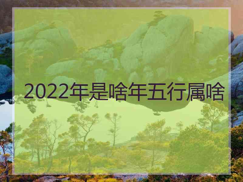 2022年是啥年五行属啥