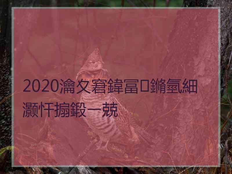 2020瀹夊窘鍏冨鏅氫細灏忓搧鍛ㄧ兢