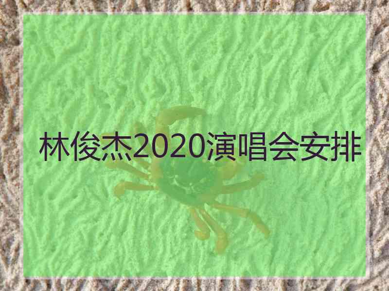 林俊杰2020演唱会安排