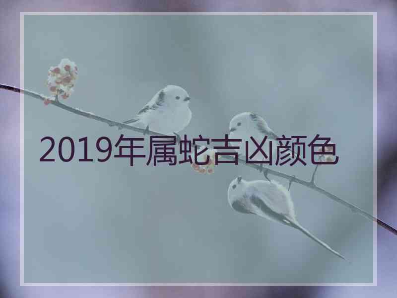 2019年属蛇吉凶颜色