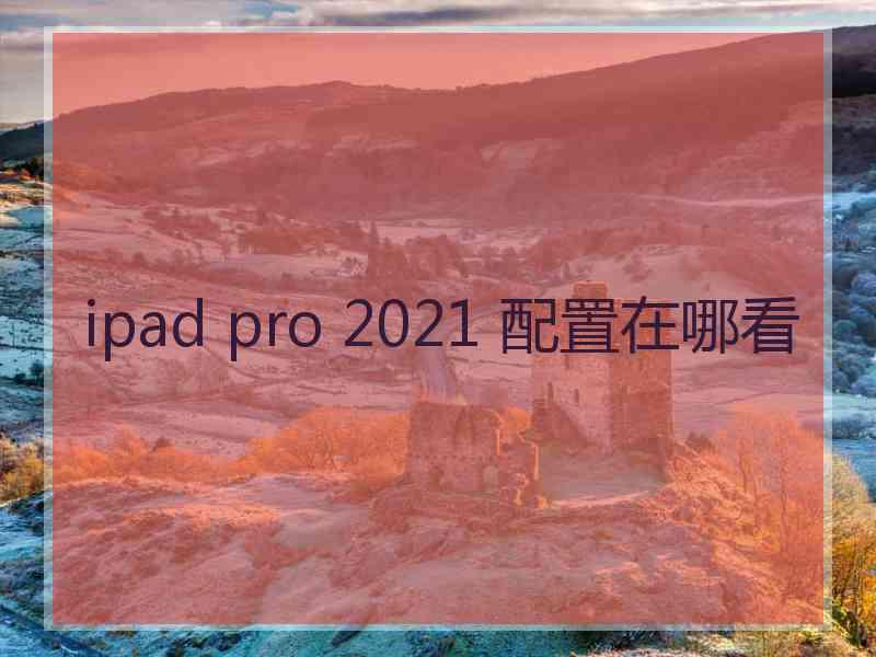 ipad pro 2021 配置在哪看