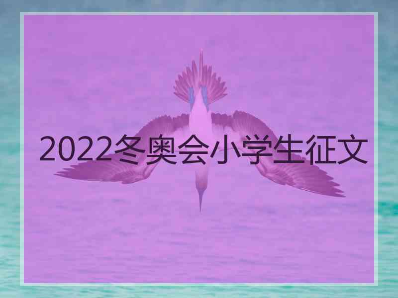 2022冬奥会小学生征文