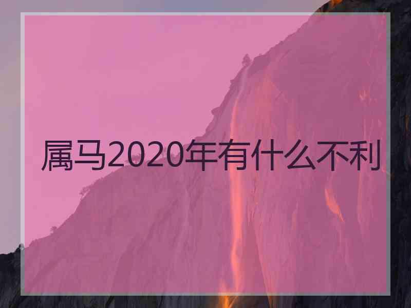 属马2020年有什么不利