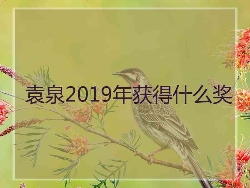 袁泉2019年获得什么奖