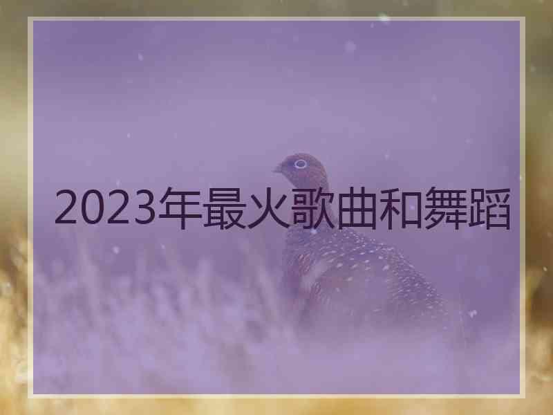 2023年最火歌曲和舞蹈