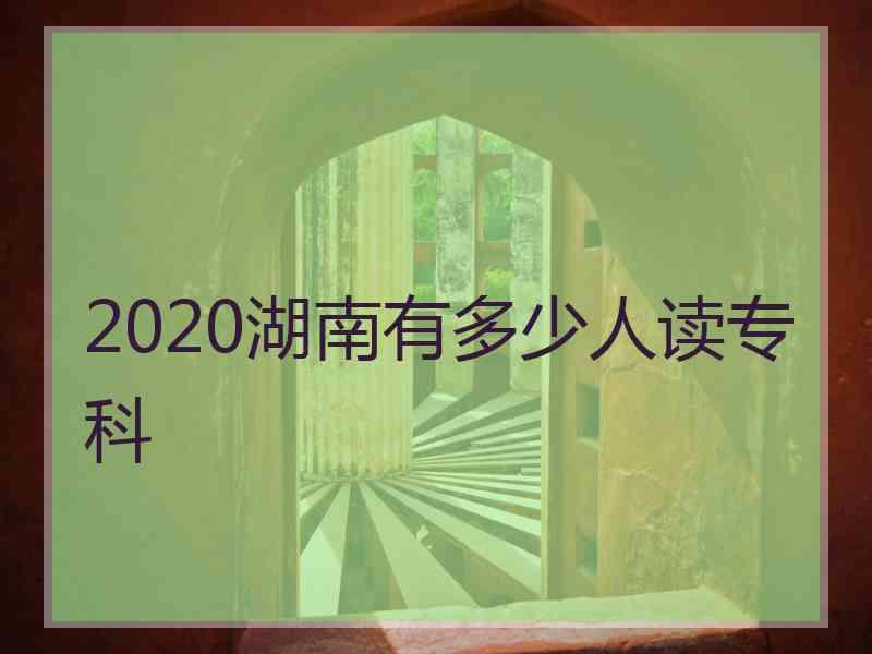 2020湖南有多少人读专科