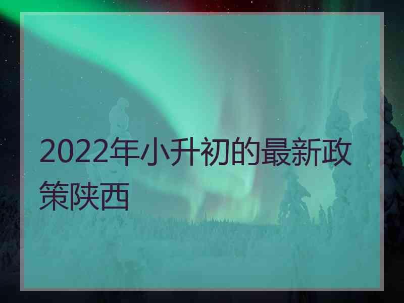 2022年小升初的最新政策陕西