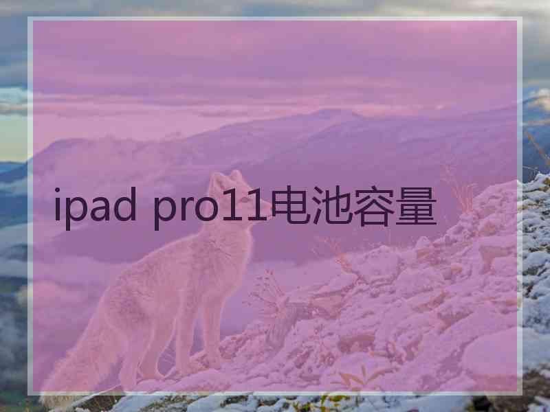 ipad pro11电池容量