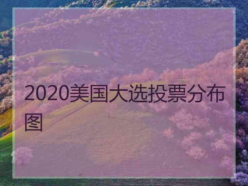 2020美国大选投票分布图