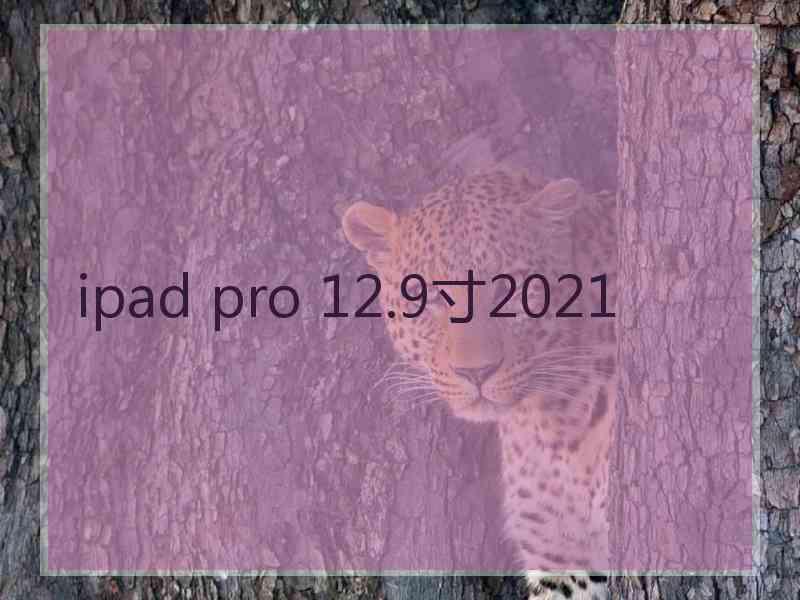 ipad pro 12.9寸2021