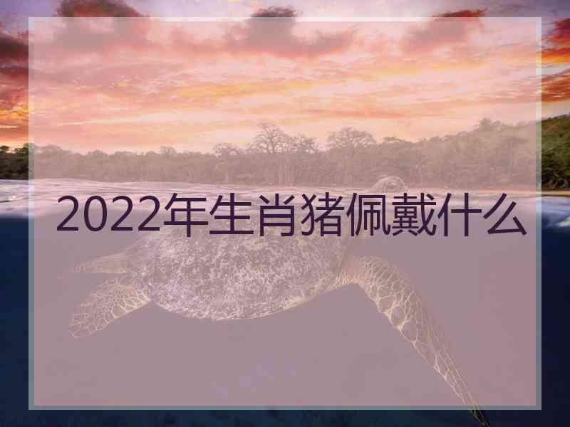 2022年生肖猪佩戴什么