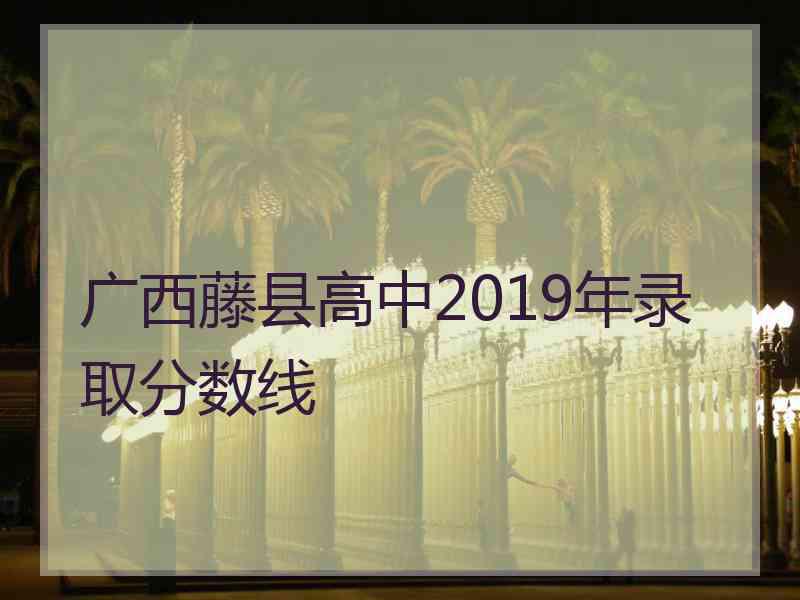 广西藤县高中2019年录取分数线