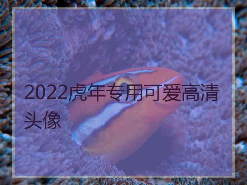 2022虎年专用可爱高清头像