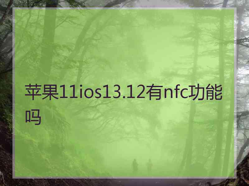 苹果11ios13.12有nfc功能吗