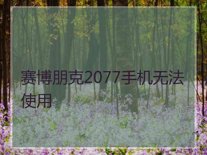 赛博朋克2077手机无法使用