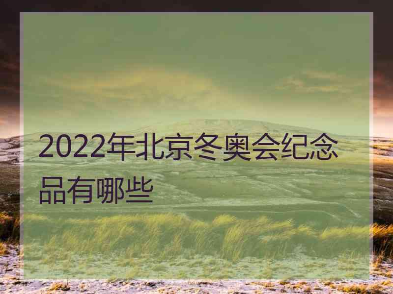 2022年北京冬奥会纪念品有哪些