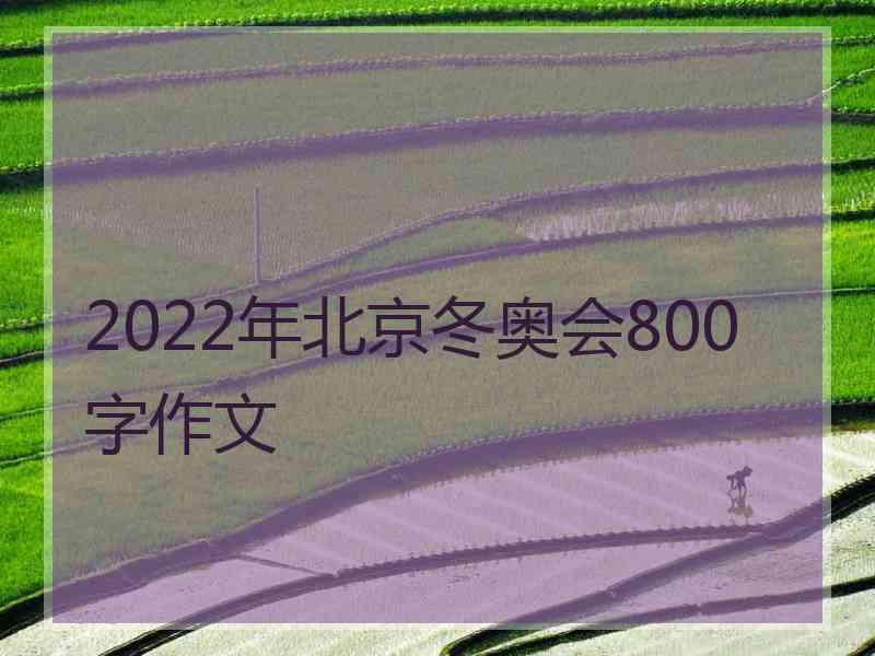 2022年北京冬奥会800字作文