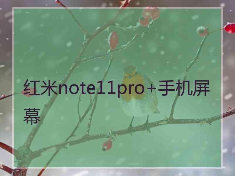 红米note11pro+手机屏幕