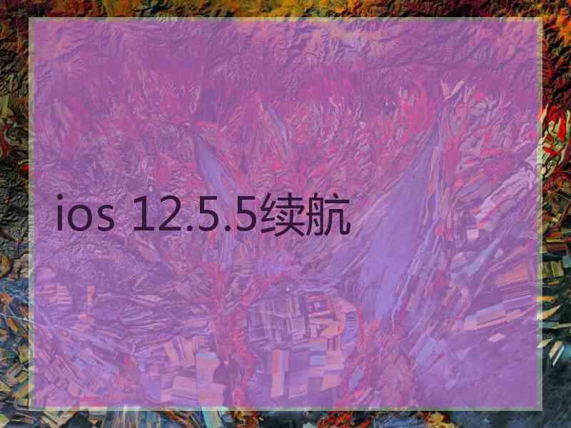 ios 12.5.5续航