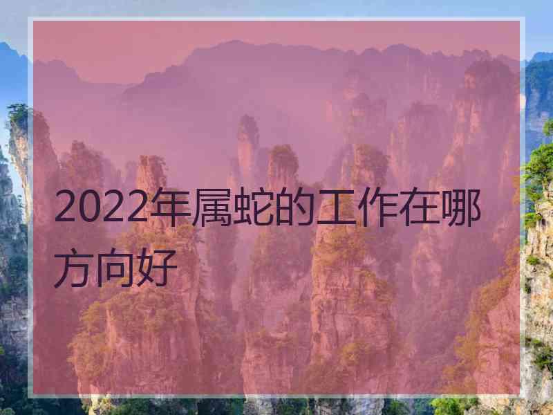 2022年属蛇的工作在哪方向好