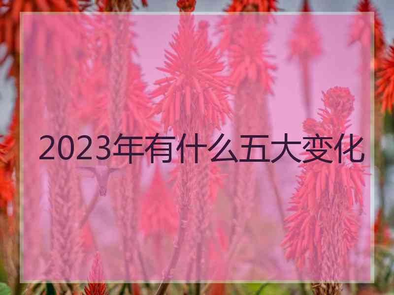 2023年有什么五大变化