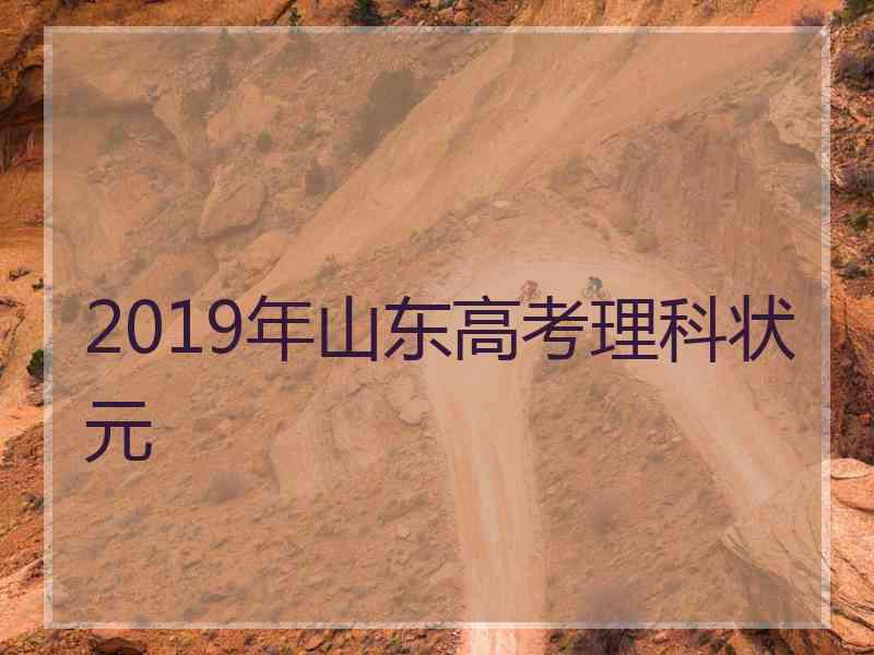 2019年山东高考理科状元