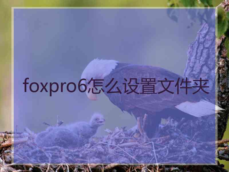 foxpro6怎么设置文件夹