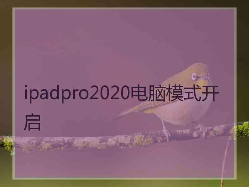 ipadpro2020电脑模式开启