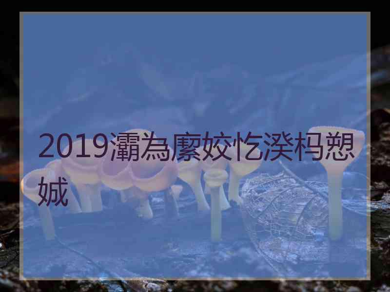 2019灞為緳姣忔湀杩愬娍