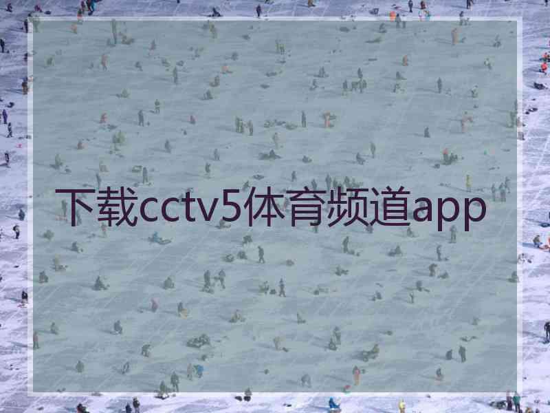 下载cctv5体育频道app