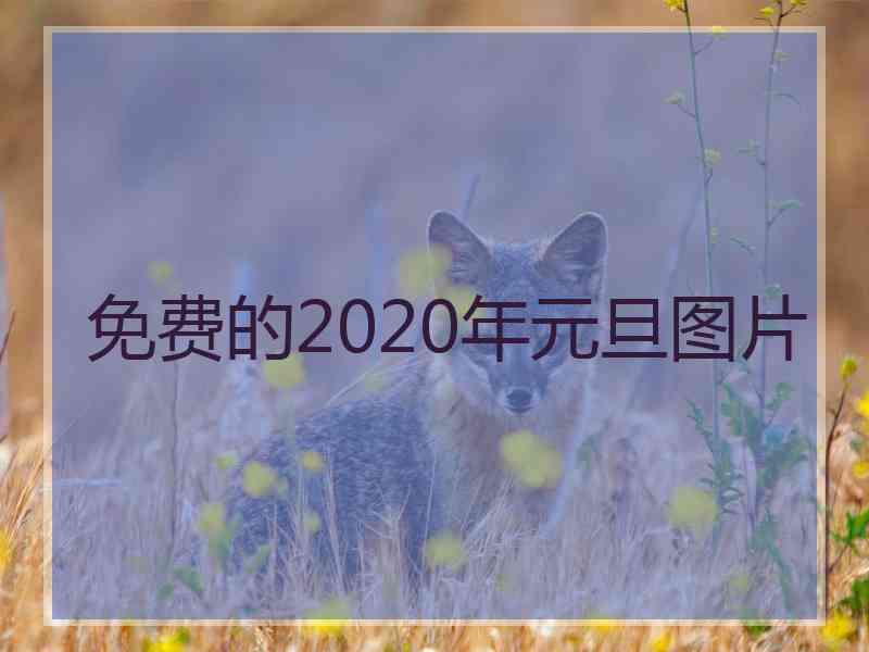 免费的2020年元旦图片