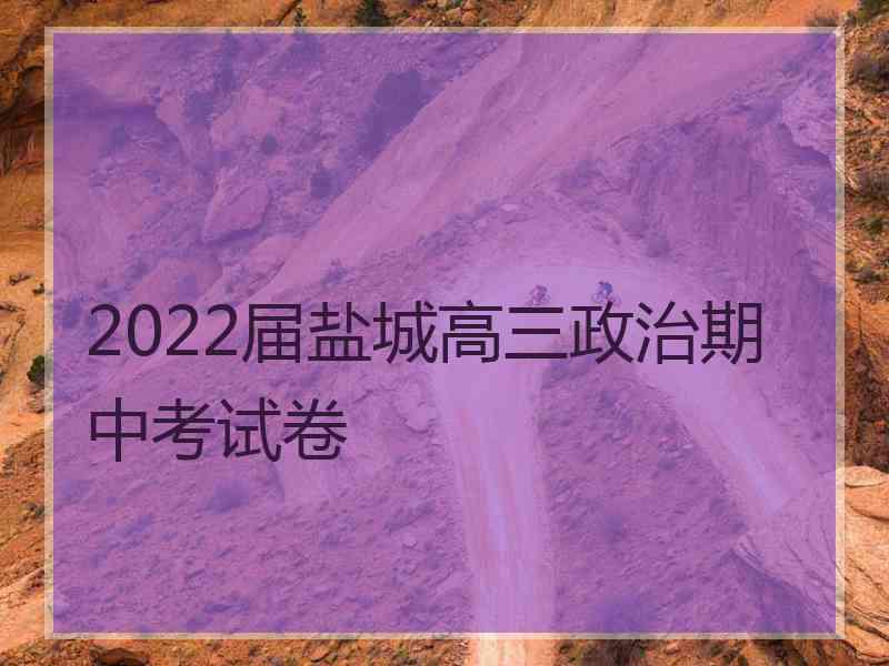 2022届盐城高三政治期中考试卷