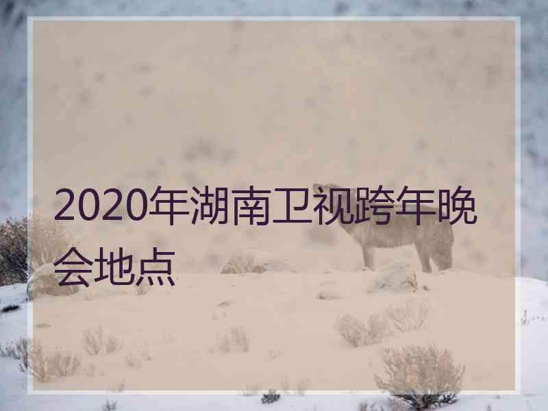 2020年湖南卫视跨年晚会地点