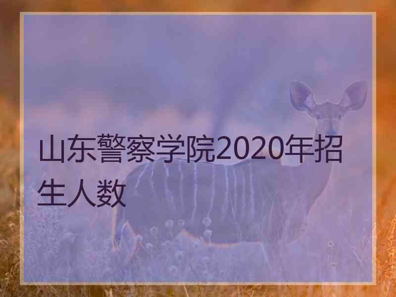 山东警察学院2020年招生人数