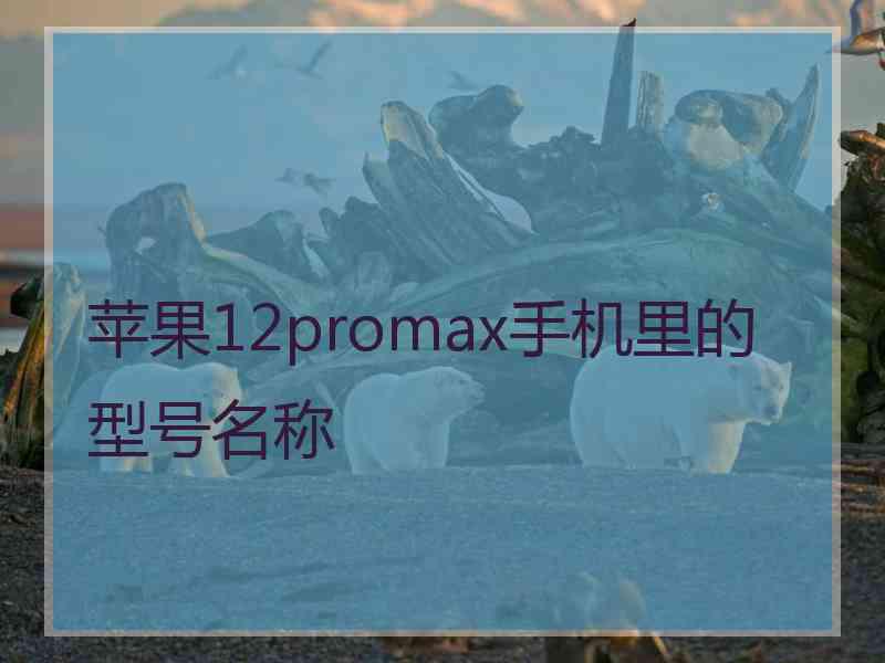 苹果12promax手机里的型号名称