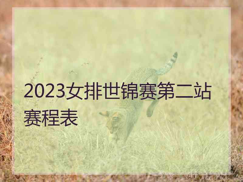 2023女排世锦赛第二站赛程表