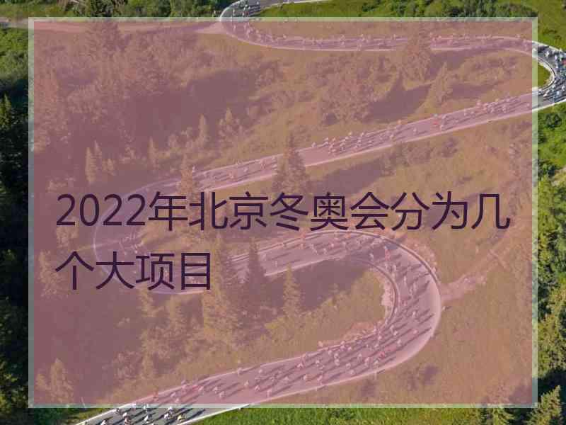 2022年北京冬奥会分为几个大项目