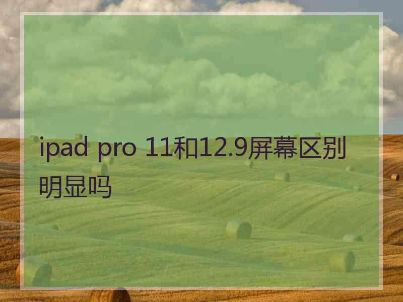 ipad pro 11和12.9屏幕区别明显吗