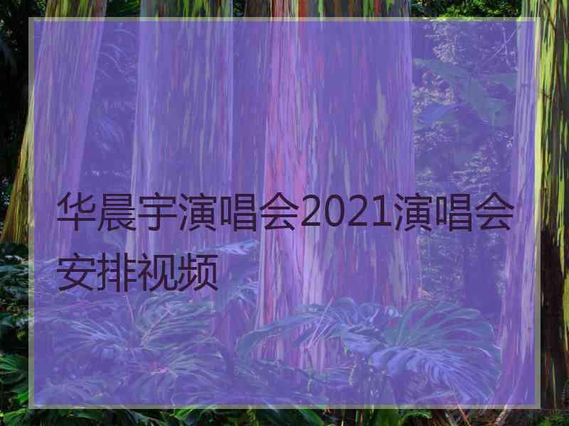 华晨宇演唱会2021演唱会安排视频