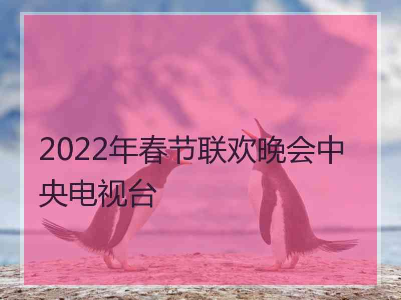 2022年春节联欢晚会中央电视台