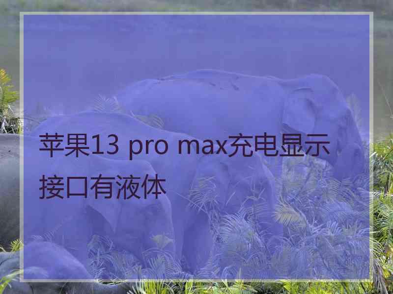 苹果13 pro max充电显示接口有液体