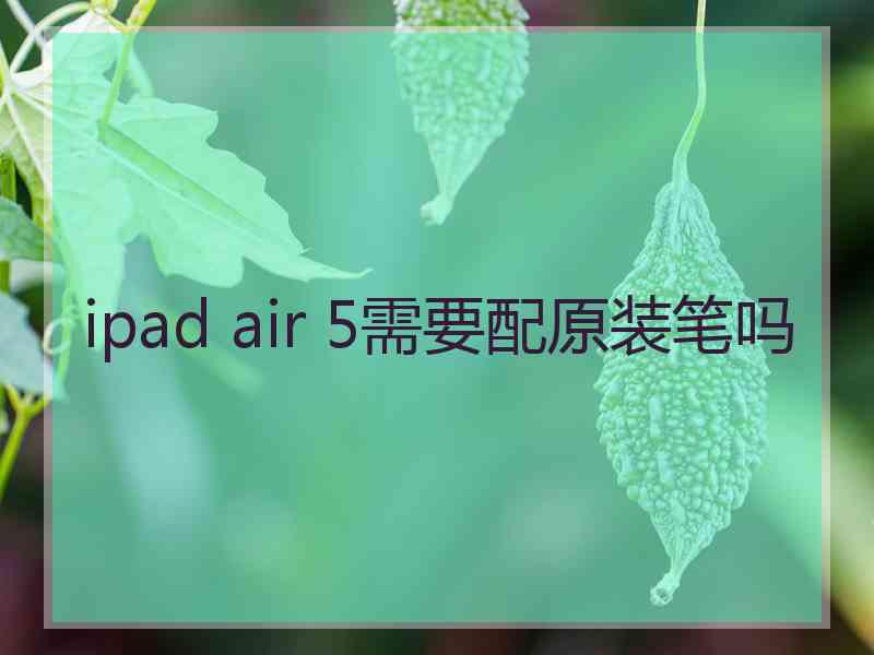 ipad air 5需要配原装笔吗