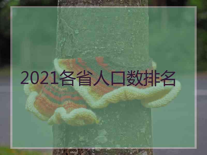 2021各省人口数排名