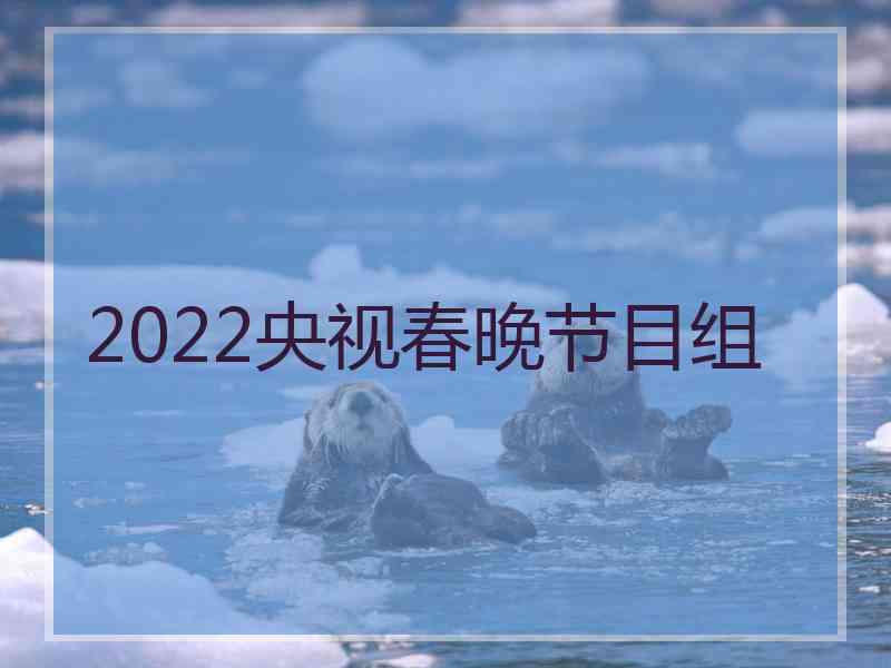 2022央视春晚节目组