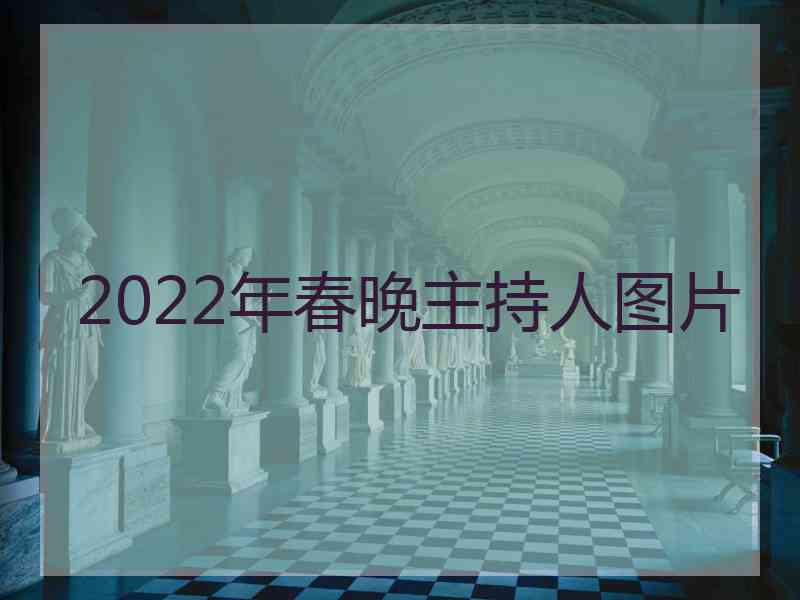 2022年春晚主持人图片