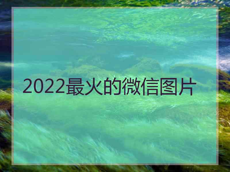 2022最火的微信图片