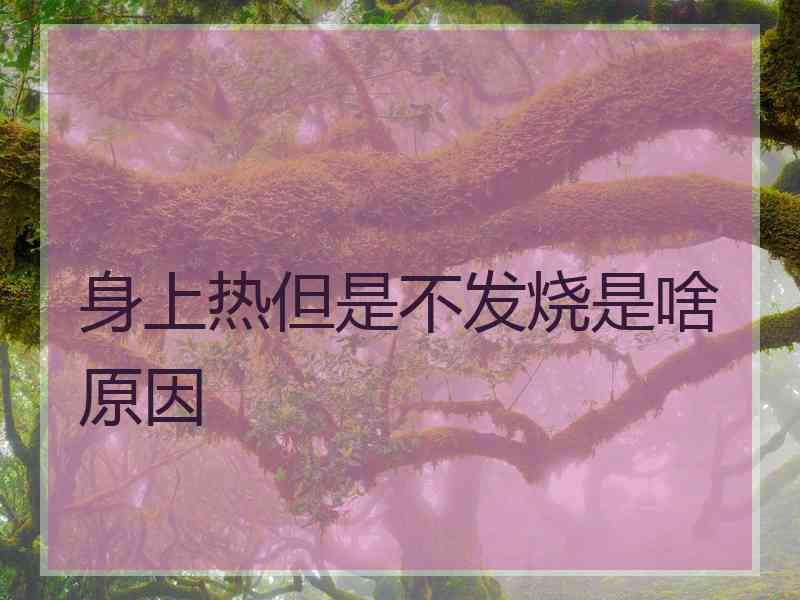 身上热但是不发烧是啥原因