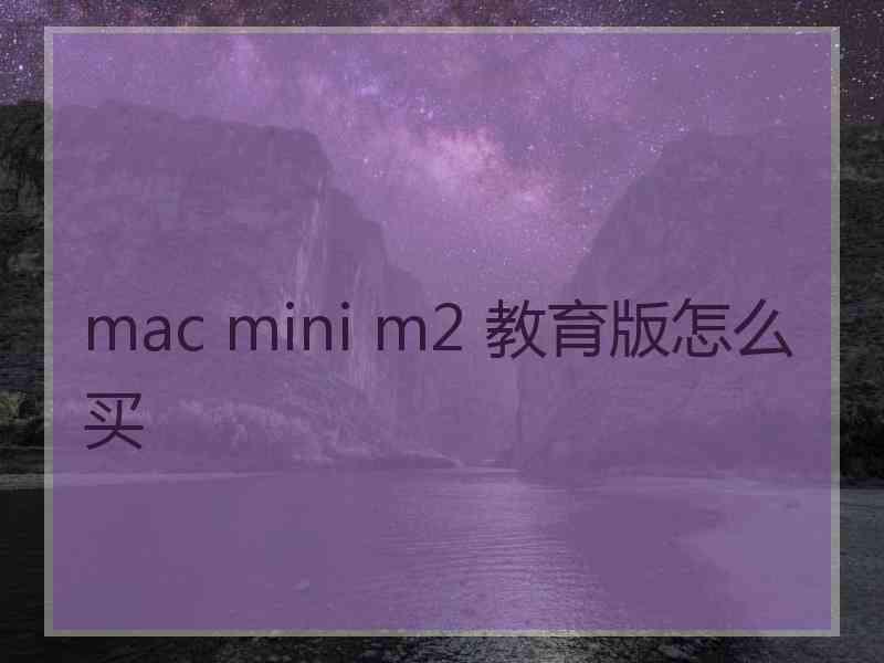 mac mini m2 教育版怎么买